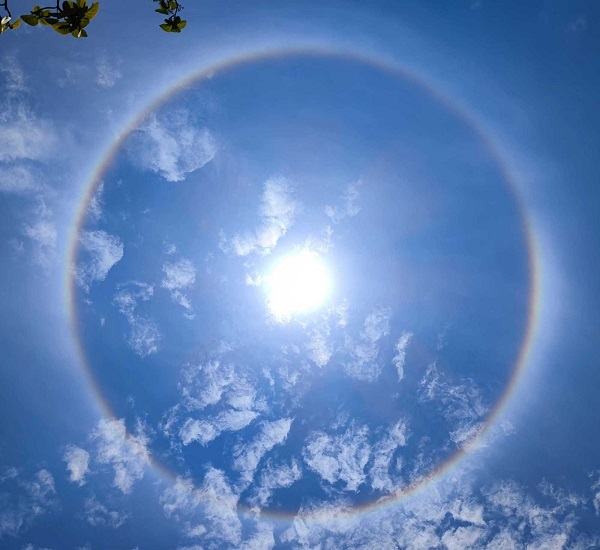 img-1621735687816934d2ec3a97892ce6b8927756db7748e.jpg img-1621735687816934d2ec3a97892ce6b8927756db7748e.jpg