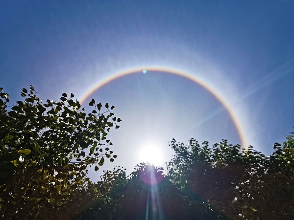 IMG_20210430_120644_mh1621736057681.jpg IMG_20210430_120644_mh1621736057681.jpg