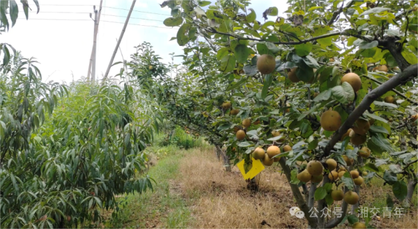 微信图片_20241114122811.png 微信图片_20241114122811.png