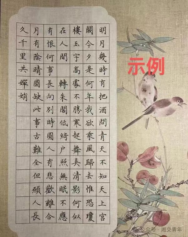 4393bccf1ad14e7dae37a0168f11e4b.jpg 4393bccf1ad14e7dae37a0168f11e4b.jpg