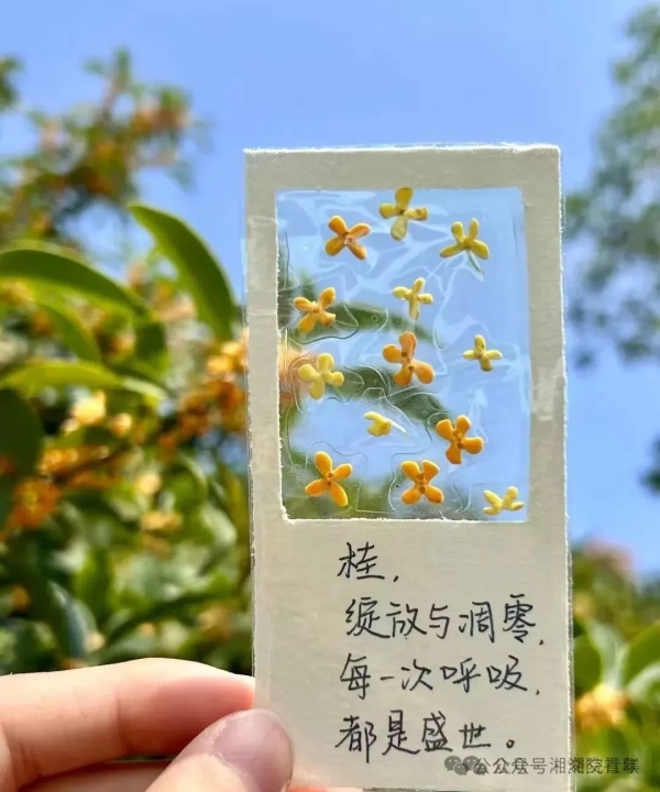 微信图片_20241129192425.jpg 微信图片_20241129192425.jpg